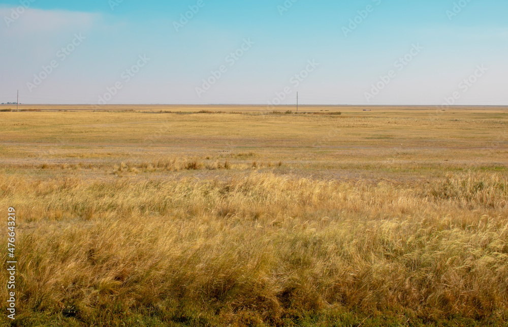 Steppe dessert and blue sky in summer day, Kazakhstan