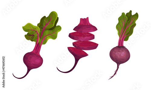Set of fresh whole and sliced beetroot with green leaves. Organic vegetable, natural farm food vector illustration