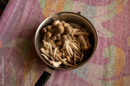 Shimeji mushrooms, brown varieties of mushrooms - edible mushroom, in a saucepan photo