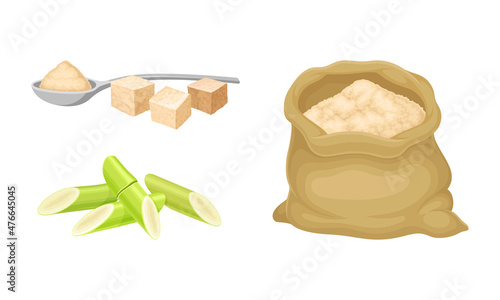 Sugarcane stalks and sugar. Natural organic food production vector illustration