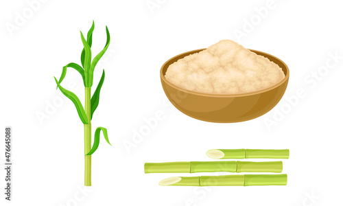 Sugarcane plant stalks and cane sugar natural organic food set vector illustration