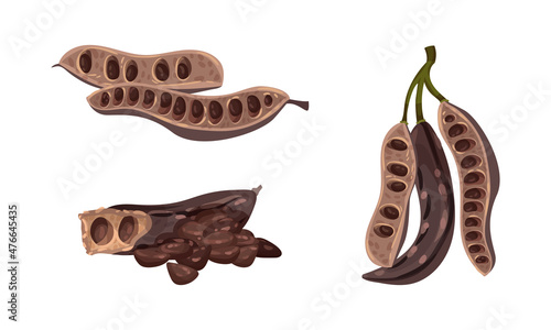 Sweet pods of carob plant set. Super food vector illustration