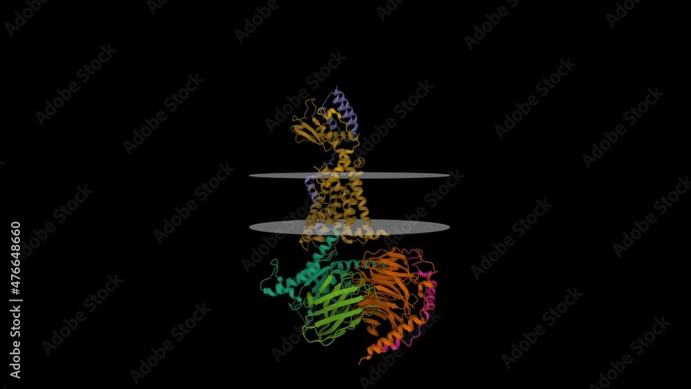 Structure of the active adrenomedullin 1 receptor G protein complex ...