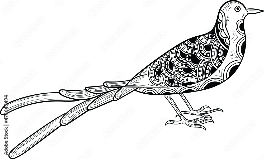 Artistic Bird Vector Illustration line drawing. Indian bird black and