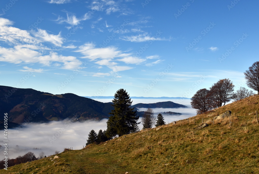 Nebelschwaden im Schwarzwald