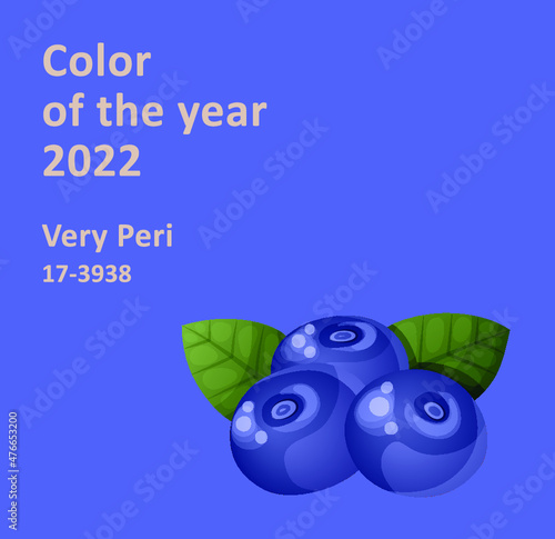 Colored blueberries icon design Color of the year 2022  vector background photo