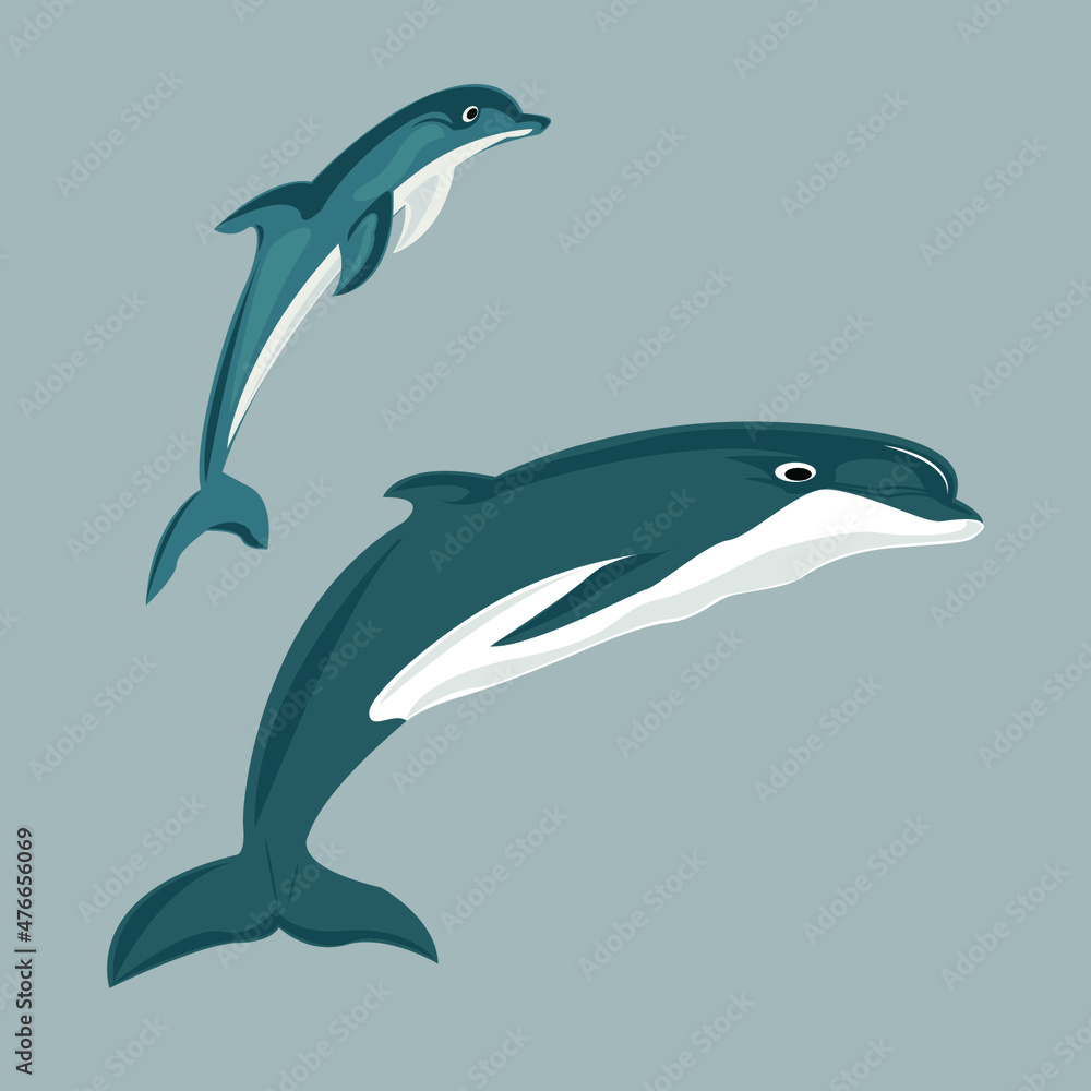 Fototapeta premium Dolphin Illustration Dolphin In Cartoon 