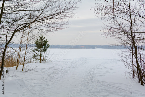 Minimalistic tranquil landscape with the lake has frozen hard  surrounded by naked trees. Natural background. Minimalist style scenic aerial view. Calm tones in minimalist photography.