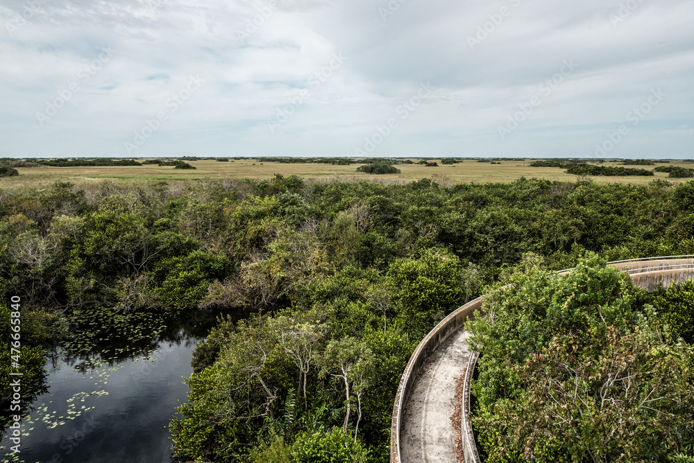 View from the Everglades, seen from the top of the observation tower in Shark Valley