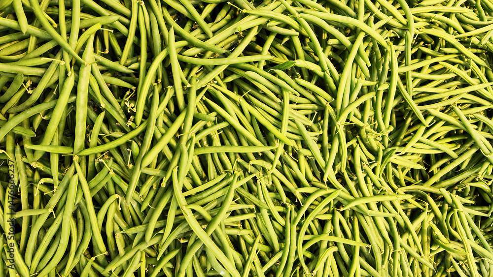 long green beans bundle can be used food stock pictures long green beans bundle can be used food stock pictures