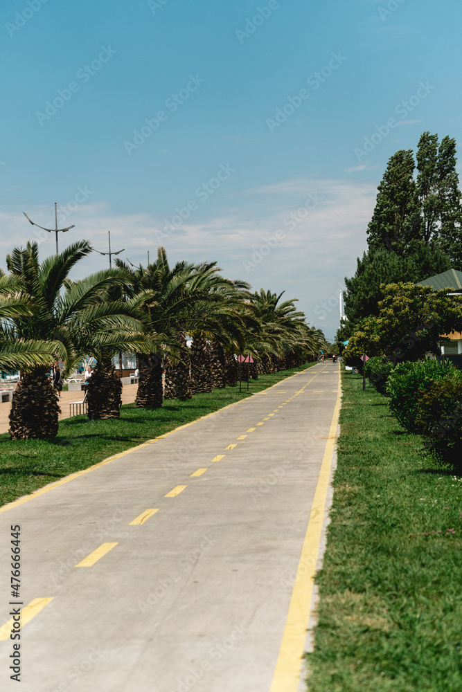 Nice asphalt road with palm trees against blue sky and clouds