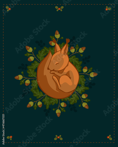 Little sleeping squirrel on a background of oak branches with acorns. Cartoon vector graphics.