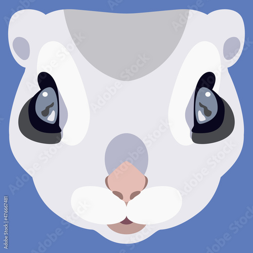 Funny face of a flying squirrel. Rodent mask. Animal portrait. Cartoon style. Isolated vector illustration. On blue background.
