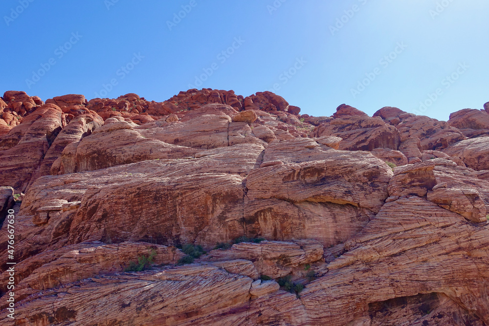 Looking Up at Red Rock Canyon