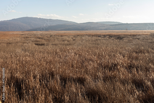 Autumn view of Dragoman marsh, Bulgaria