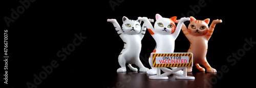 Fototapeta Naklejka Na Ścianę i Meble -  Three funny toy kittens are standing next to a sign: only for vaccinated. Concept of prohibitions for unvaccinated people. Concept for the movement of unvaccinated animals. Black background