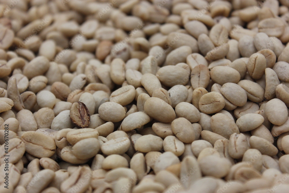 Colombian organic coffee beans
