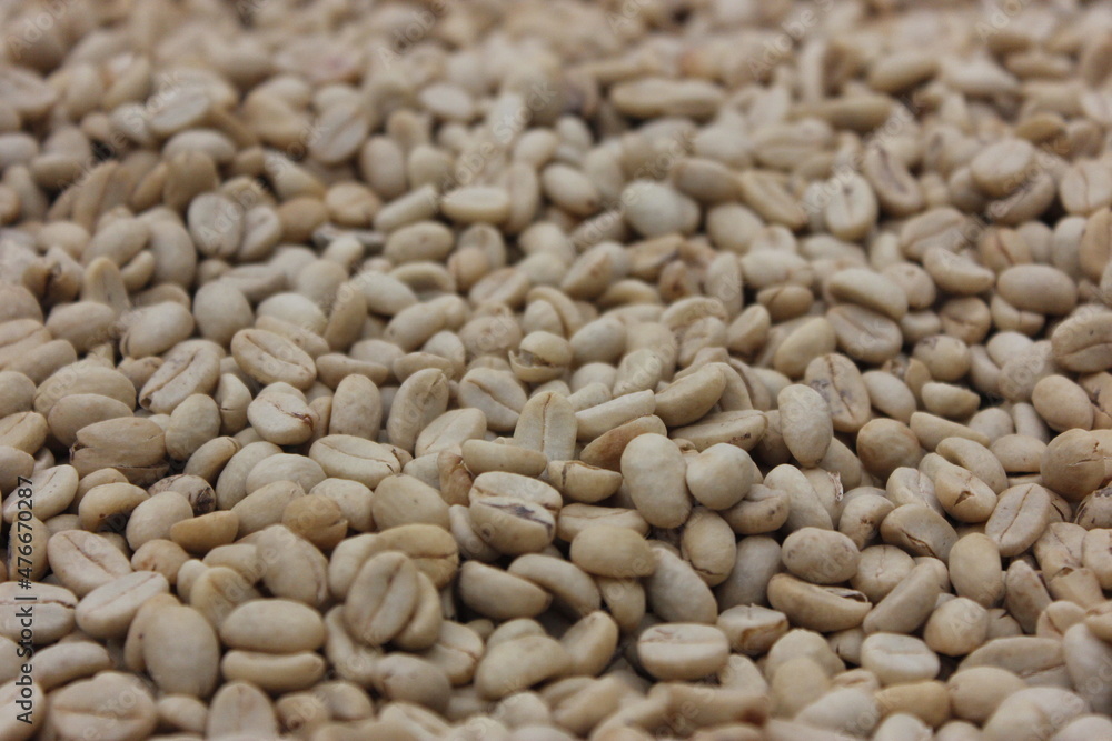 Colombian organic coffee beans Colombian organic coffee beans