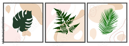 Botanical wall art vector set.Different drawn silhouettes of tropical leaves on abstract background.Abstract design of plants for print,cover,wallpaper,minimalistic and natural wall pictures.Vector
