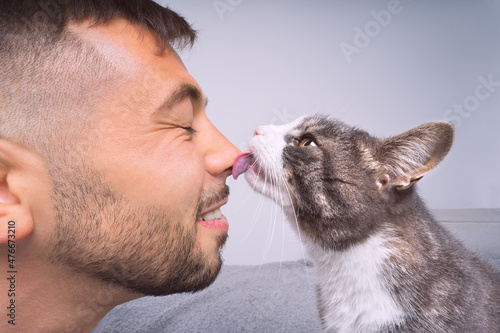 Cute cat licking or kissing owner's nose. Pets and humans friendship, love and trust concept photo