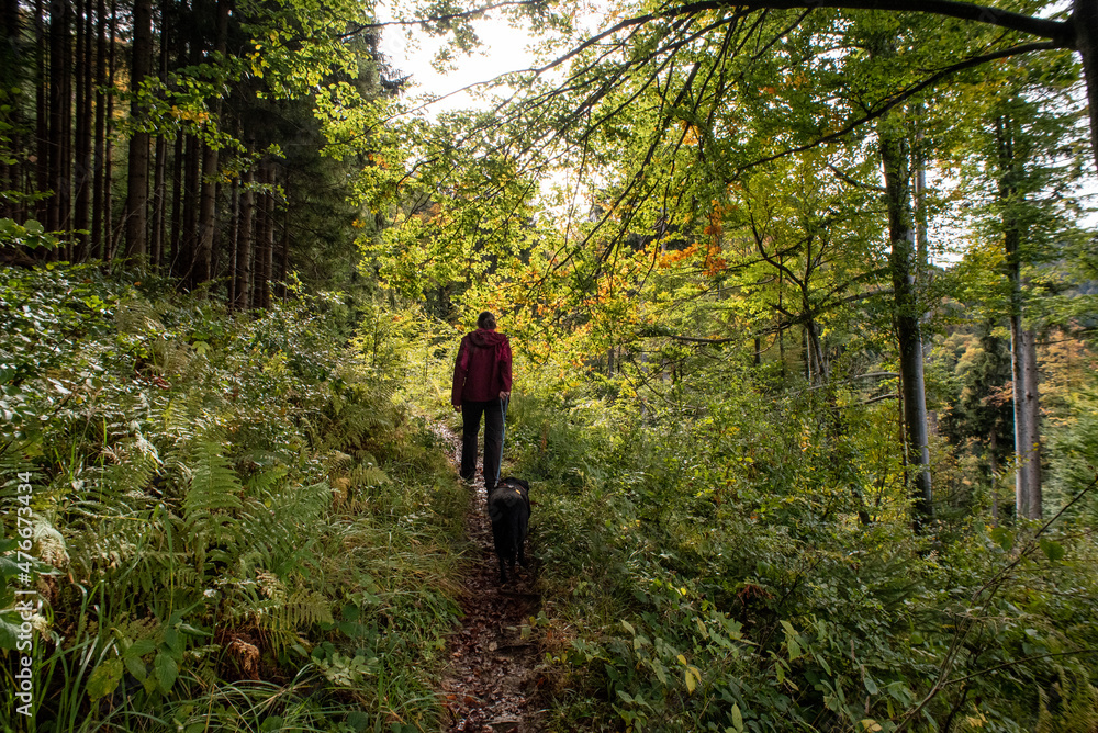 Hiking with a dog in the forest near lake Schliersee in Bavaria