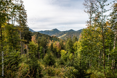 Scenic forest near lake Schliersee in Bavaria