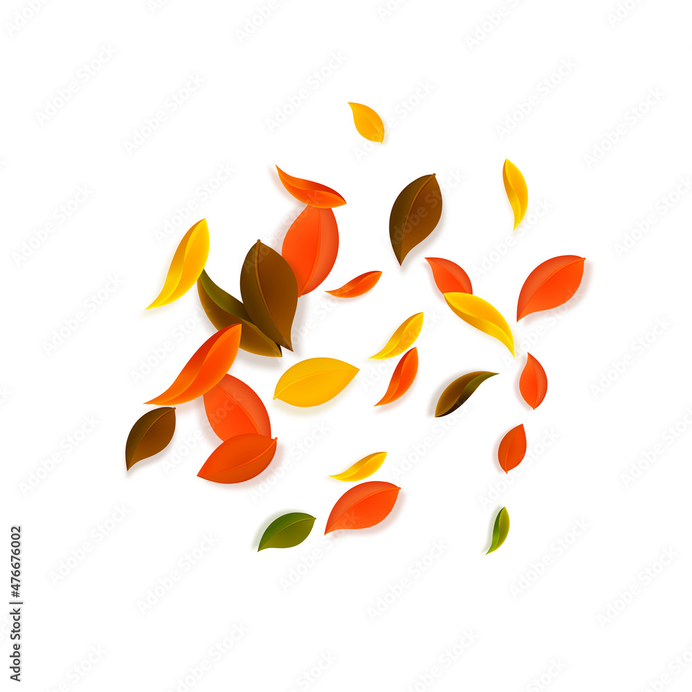 Falling autumn leaves. Red, yellow, green, brown c Falling autumn leaves. Red, yellow, green, brown c
