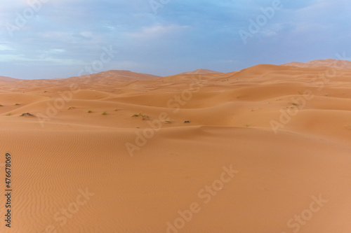 Beautiful landscape of the dunes of the Sahara Desert at dusk, Merzouga, morocco