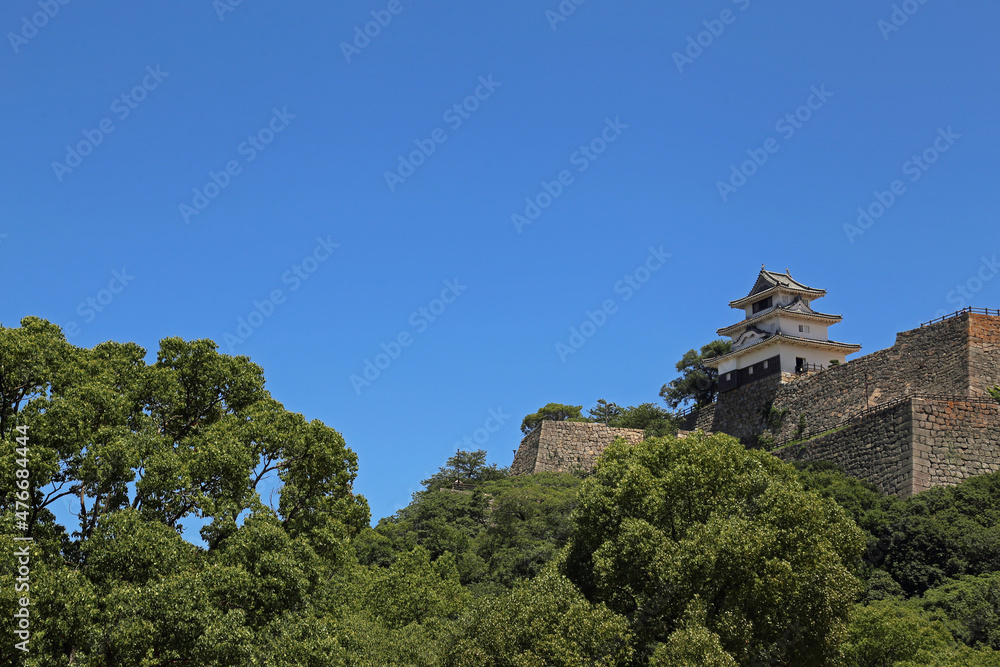 初夏の丸亀城