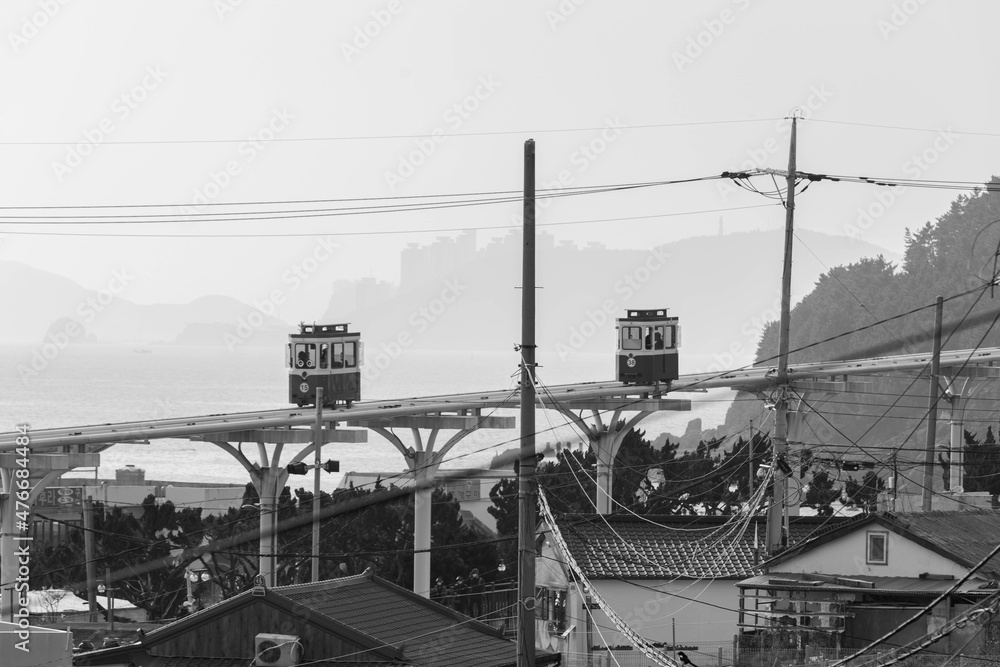 Obraz premium 나무