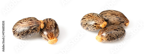 Konstfotografi close up of castor beans, isolated on white background