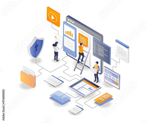 Web analysis and development team