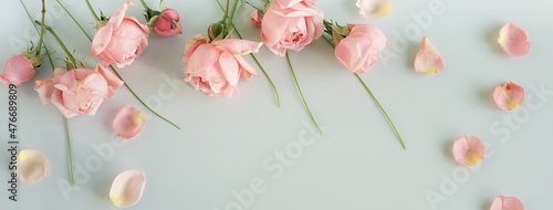 Flowers background.Pink roses  frame top view on blue background banner with ...
