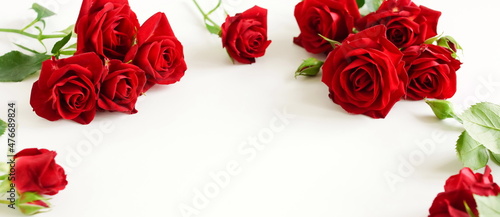 Red roses frame isolated on white background with copy space. Banner.Selectiv...