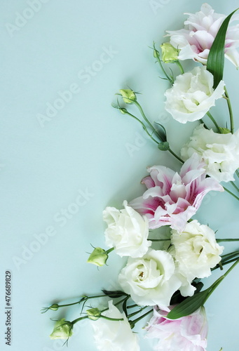 White and pink flowers frame on blue   background top view, copy space. Flowe...