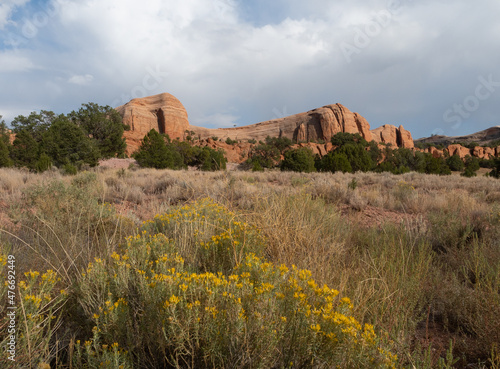 Sunlit Red Rock Cliffs with Rabbit Brush in the Foreground photo