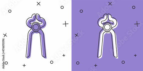 Set Blacksmith pliers tool icon isolated on white and purple background. Vector