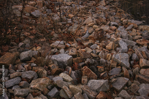 pile of rocks in the woods