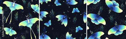 Set of seamless patterns with moths. Vector graphics. Contemporary composition. Trendy texture for print, textile, packaging.