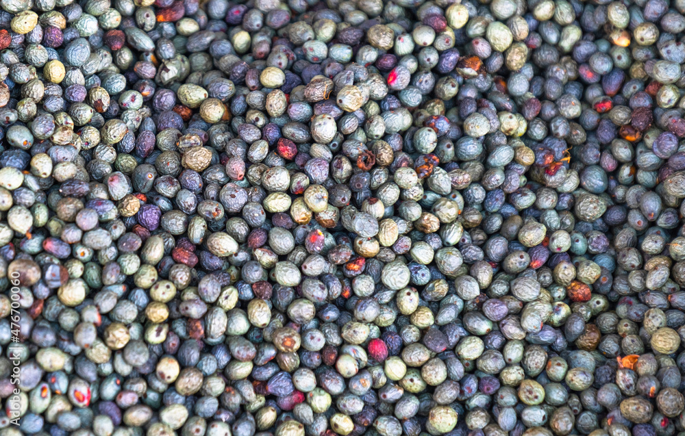 Fruits of turpentine tree. in Turkish, it is called menengic or citlembik. Fruits of turpentine tree. in Turkish, it is called menengic or citlembik.