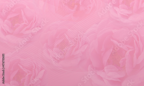 Wallpaper Mural blur white line on blur pink roses flower on pink background, love, banner, template, copy space Torontodigital.ca