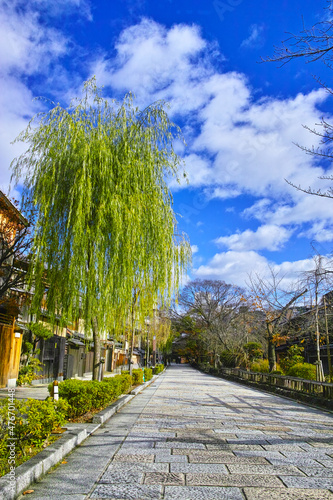 秋の京都、柳が綺麗な祇園白川通りの風景