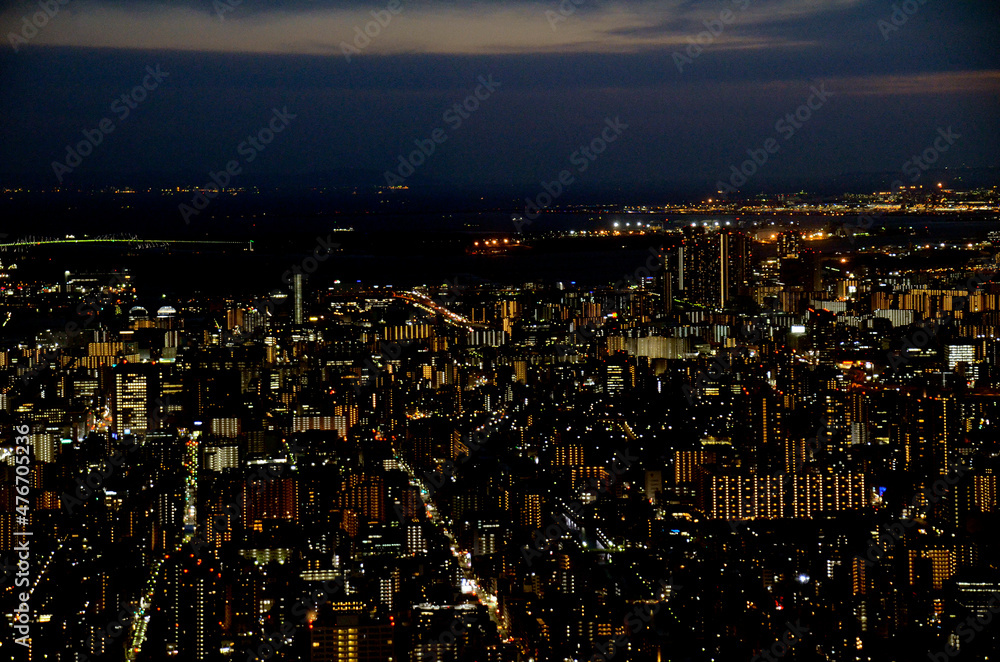 Fototapeta premium 夜の東京