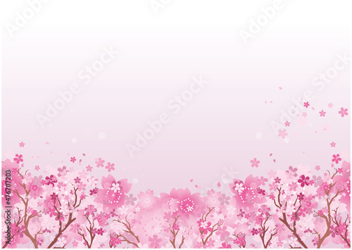 春　桜　和風
