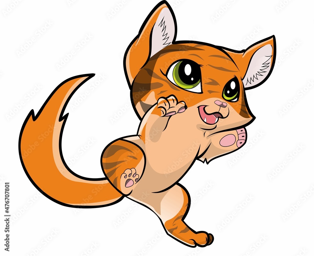 Fototapeta premium ORANGE CAT