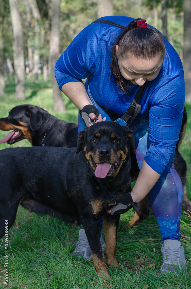 Adult female walking with two black dogs. Adult female walking with two black dogs.