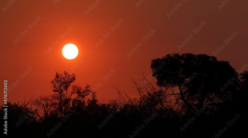 Sonnenuntergang Krüger Park Südafrika / Sundown Kruger Park South Africa / Sonnenuntergang Krüger Park Südafrika / Sundown Kruger Park South Africa /