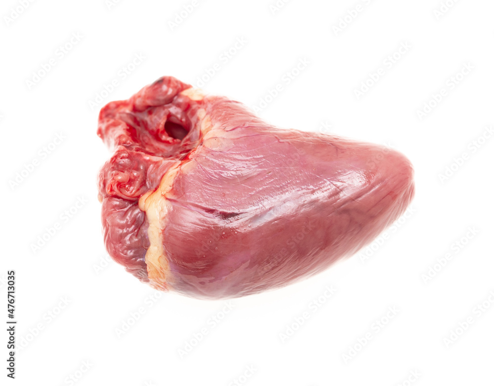 Chicken heart isolated on white background.