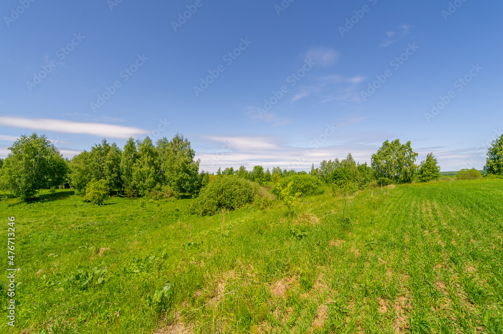 Spring photography, landscape with a cloudy sky. water meadows, floodplains, ravines. an area of ​​low-lying ground adjacent to a river, formed mainly of river sediments and subject to flooding.