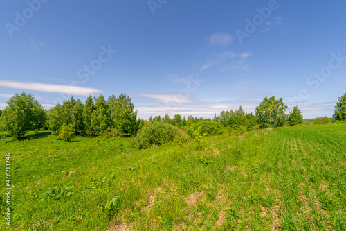 Fototapeta Naklejka Na Ścianę i Meble -  Spring photography, landscape with a cloudy sky. water meadows, floodplains, ravines. an area of ​​low-lying ground adjacent to a river, formed mainly of river sediments and subject to flooding.